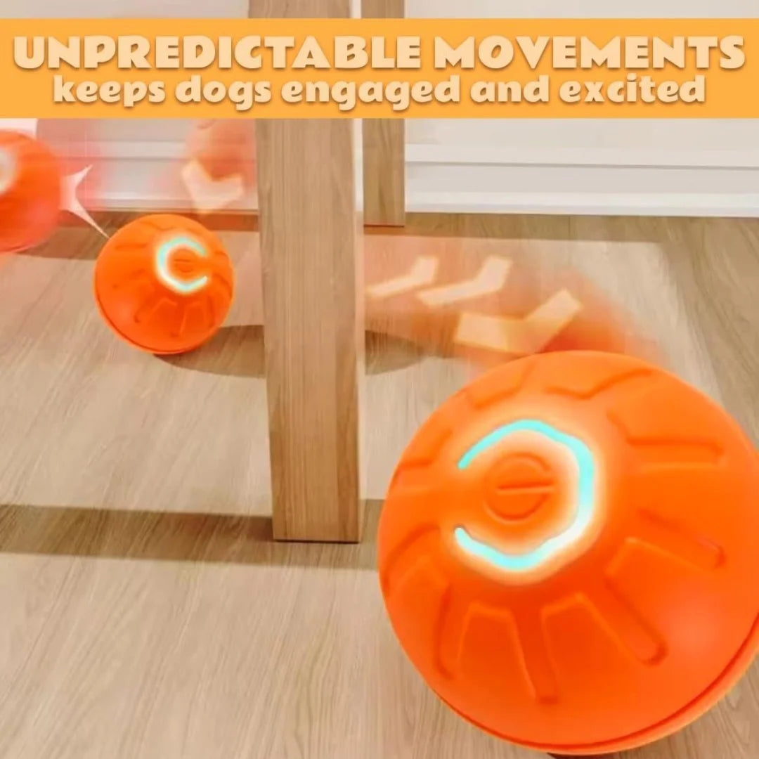 Smart Gravity Electric Amusement Ball for Dogs and Cats