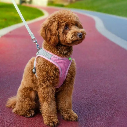 Adjustable Soft Mesh Pet Harness with Leash - Escape-Proof Reflective Walking Vest for Small to Medium Cats and Puppies