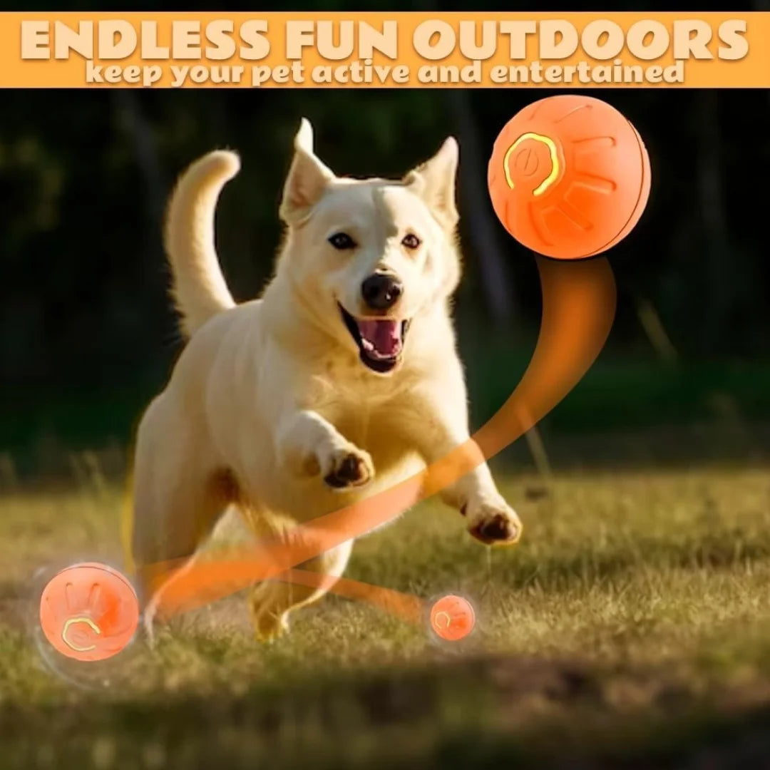 Smart Gravity Electric Amusement Ball for Dogs and Cats