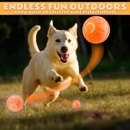Smart Gravity Electric Amusement Ball for Dogs and Cats