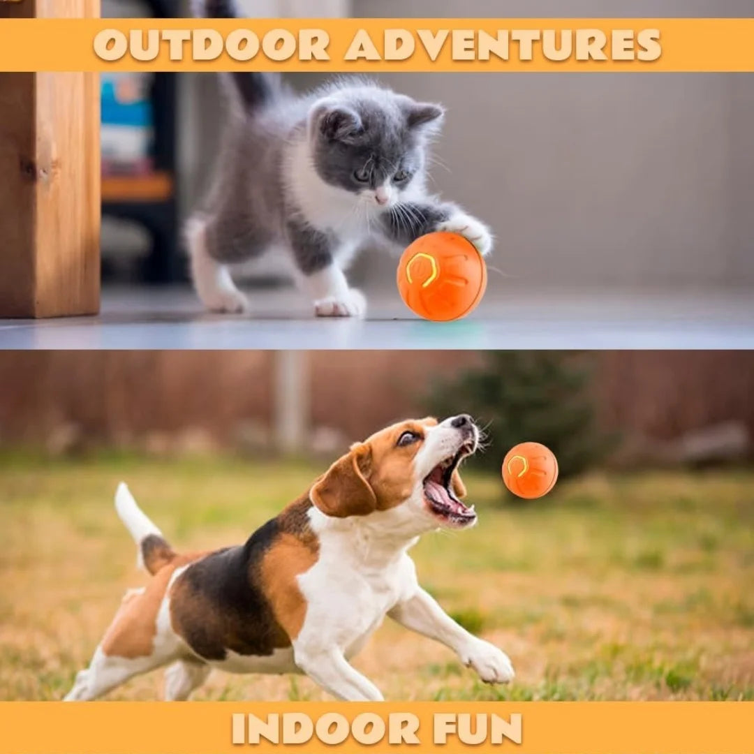 Smart Gravity Electric Amusement Ball for Dogs and Cats