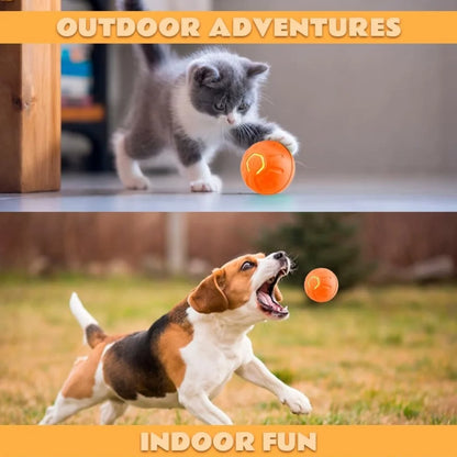 Smart Gravity Electric Amusement Ball for Dogs and Cats
