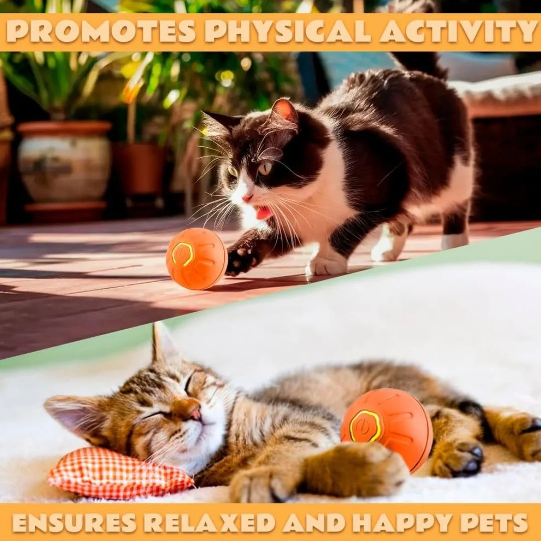 Smart Gravity Electric Amusement Ball for Dogs and Cats