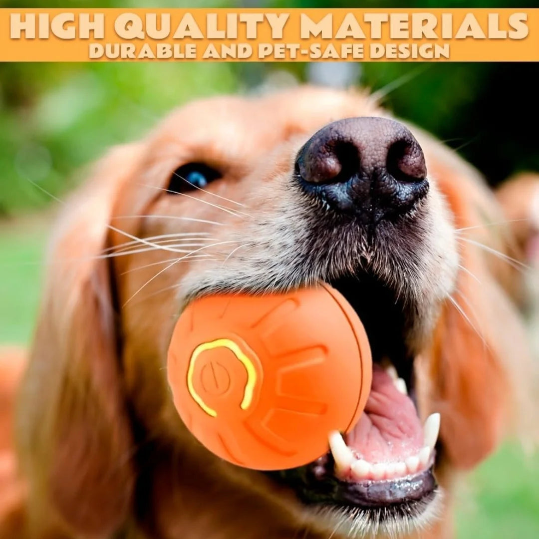 Smart Gravity Electric Amusement Ball for Dogs and Cats