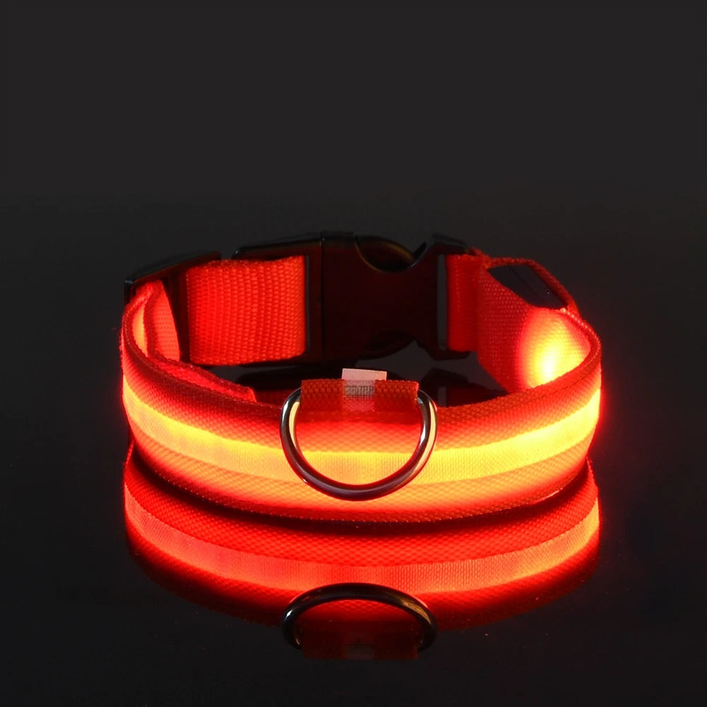 Illuminate Your Night Walks with the Nylon LED Safety Dog Leash and Luminous Collar Set