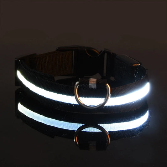 Illuminate Your Night Walks with the Nylon LED Safety Dog Leash and Luminous Collar Set