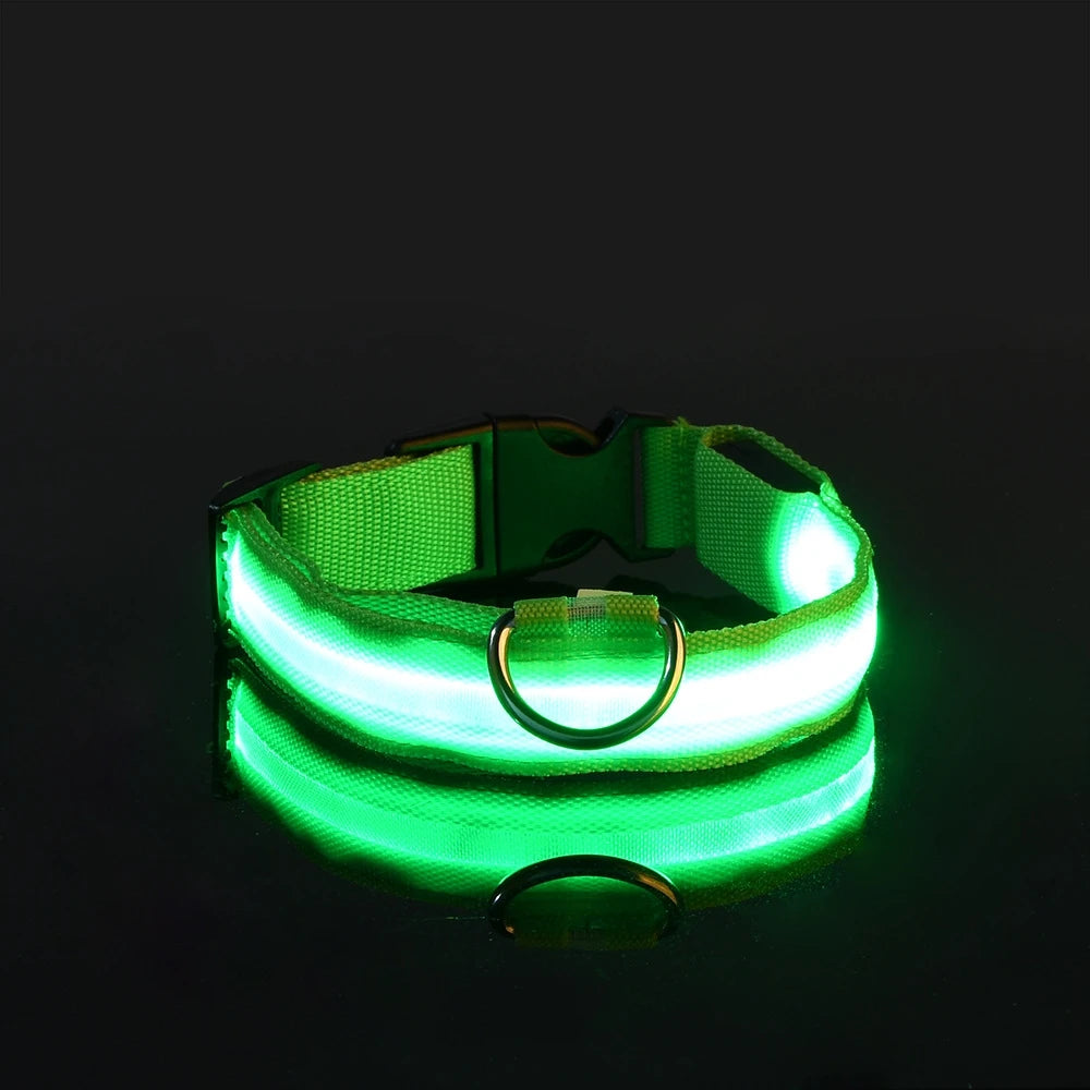 Illuminate Your Night Walks with the Nylon LED Safety Dog Leash and Luminous Collar Set