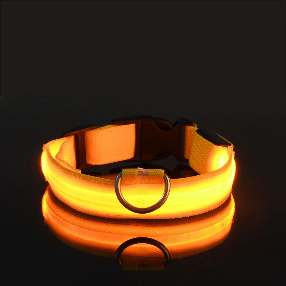 Illuminate Your Night Walks with the Nylon LED Safety Dog Leash and Luminous Collar Set