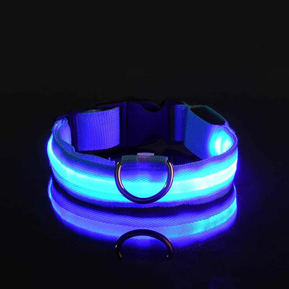 Illuminate Your Night Walks with the Nylon LED Safety Dog Leash and Luminous Collar Set