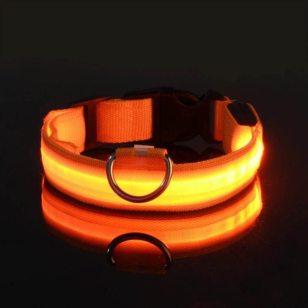 Illuminate Your Night Walks with the Nylon LED Safety Dog Leash and Luminous Collar Set