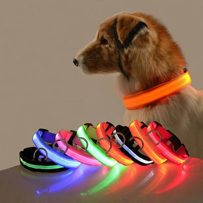 Illuminate Your Night Walks with the Nylon LED Safety Dog Leash and Luminous Collar Set