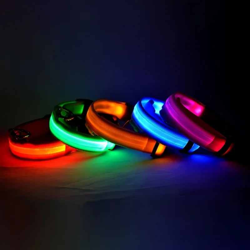 Illuminate Your Night Walks with the Nylon LED Safety Dog Leash and Luminous Collar Set