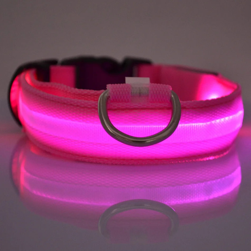 Illuminate Your Night Walks with the Nylon LED Safety Dog Leash and Luminous Collar Set