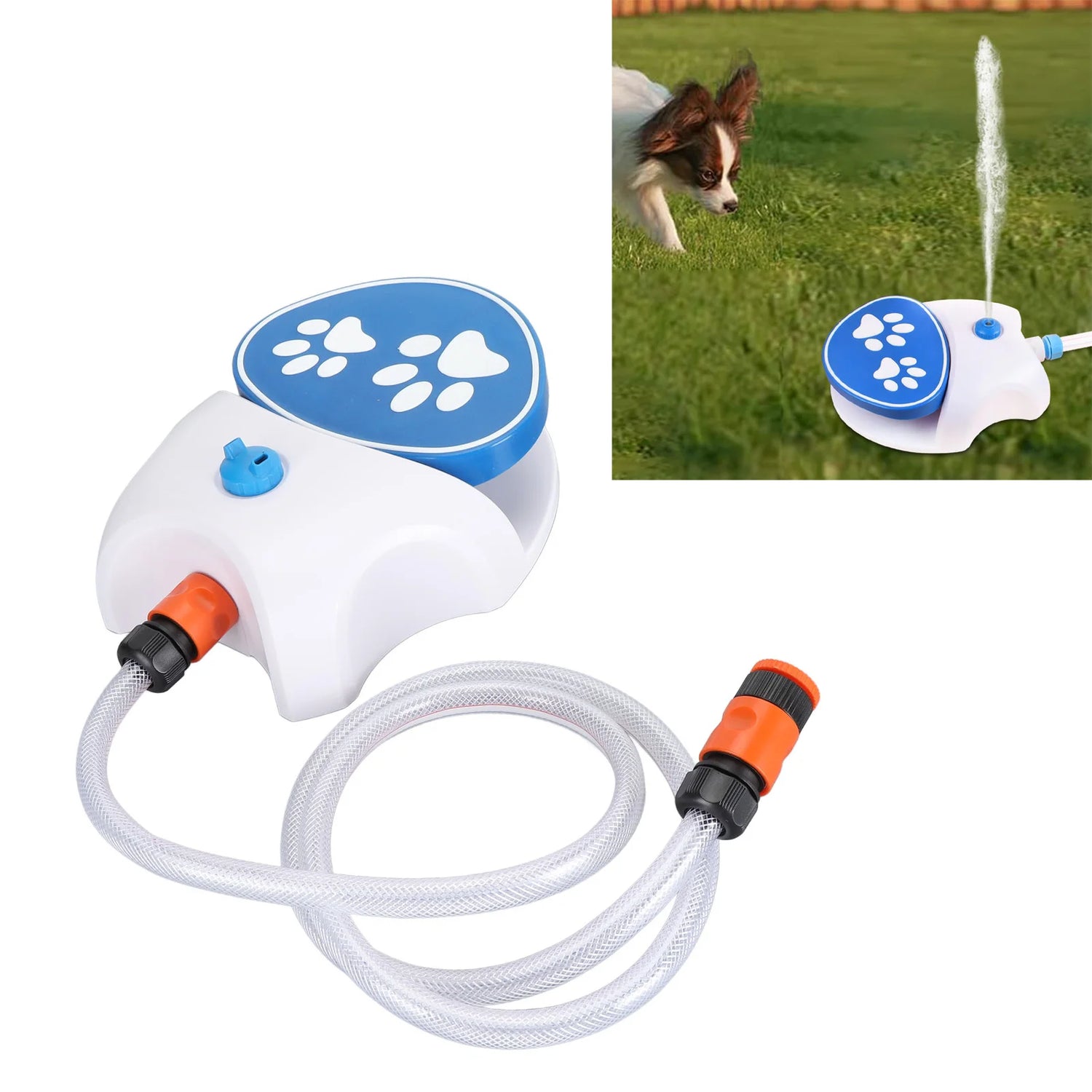 Revolutionary Paw-Activated Dog Water Fountain: Keep Your Pet Hydrated with Ease!