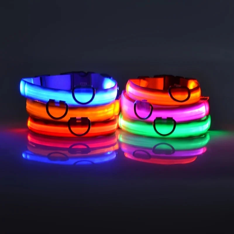 Illuminate Your Night Walks with the Nylon LED Safety Dog Leash and Luminous Collar Set