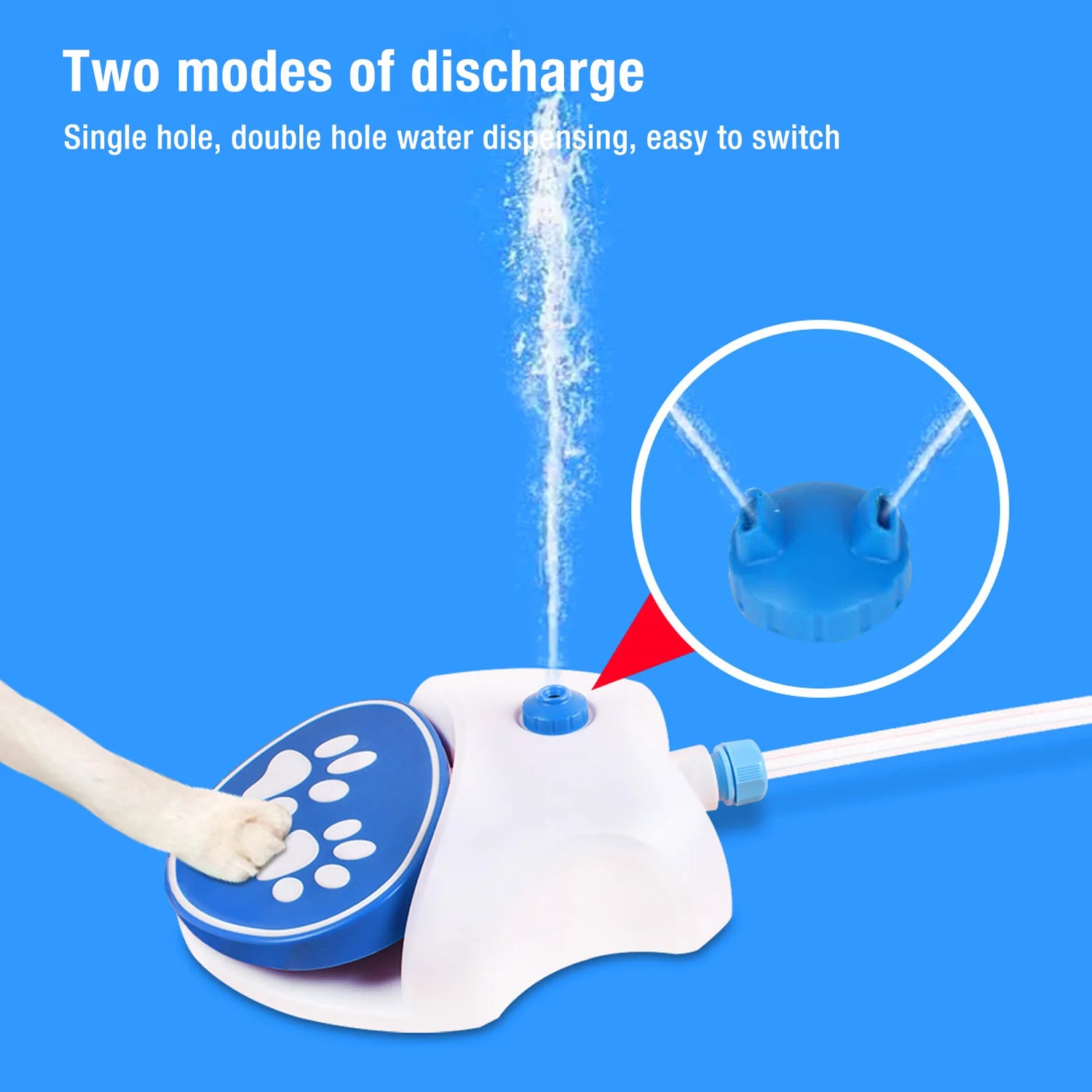 Revolutionary Paw-Activated Dog Water Fountain: Keep Your Pet Hydrated with Ease!