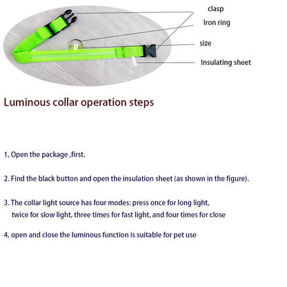 Illuminate Your Night Walks with the Nylon LED Safety Dog Leash and Luminous Collar Set