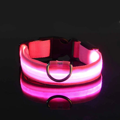 Illuminate Your Night Walks with the Nylon LED Safety Dog Leash and Luminous Collar Set