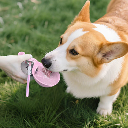 2-in-1 Portable Dog Water Bottle for Small Breeds - Leak-Proof and Compact Design - Stainless Steel and Silicone Construction